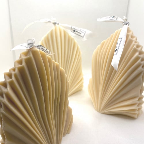 باكج 3 شموع الصدفة الأنيقة