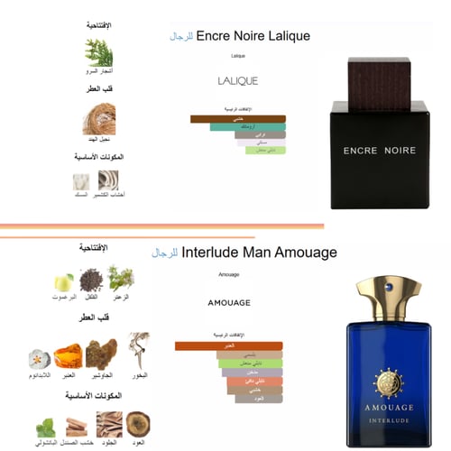 العينات الألماسية - مجموعة الرجل النخبوي