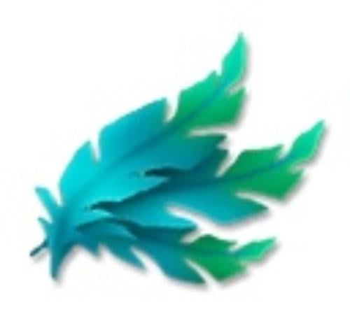 10 ريش البط