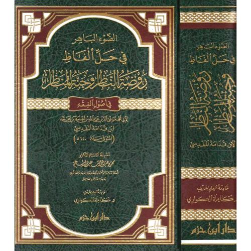 الضوء الباهر في حل الفاظ روضة الناظر وجنة المناظر