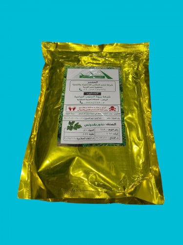 1كيلوا بذور بقدونس