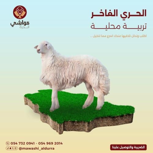 الحري الفاخر ( 25 كيلو )