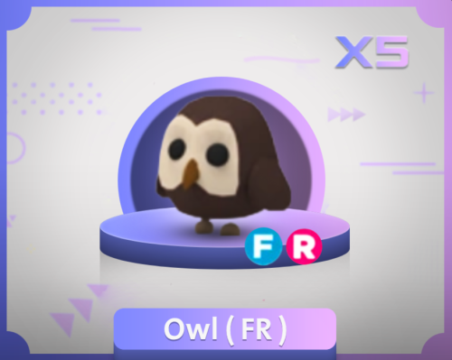 Adopt me | owl ( FR )
