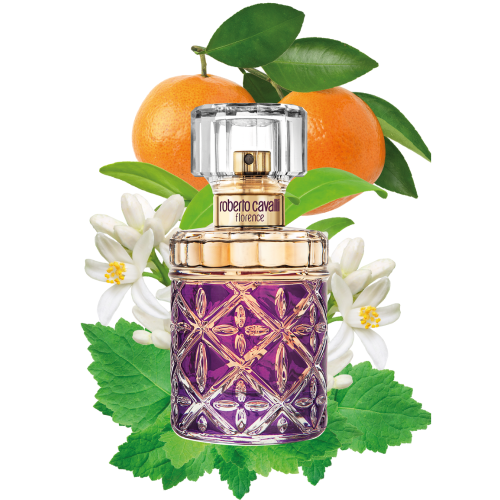 روبرتو كفالي فلورنس 75مل