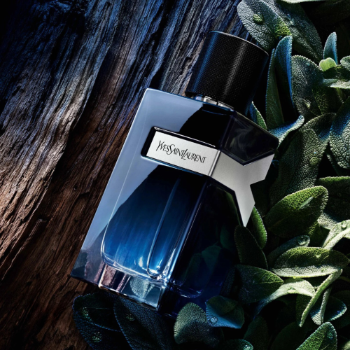 ايف سان لوران واي او دي بارفيوم 100مل