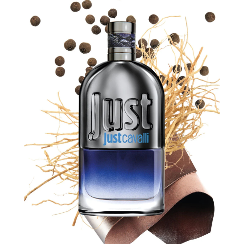 روبرتو كفالي جست كفالي رجالي 90مل