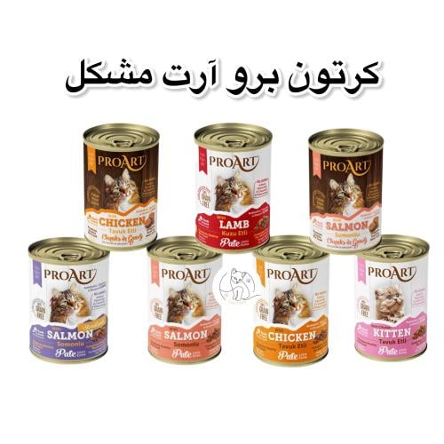 كرتون برو ارت مشكل كميات متعددة 400 جرام