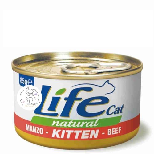 لايف كات طعام قطط صغيرة رطب بنكهة اللحم البقري 85...