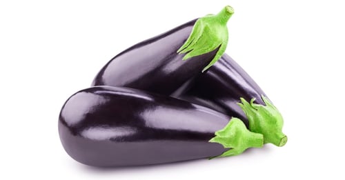 بذور الباذنجان