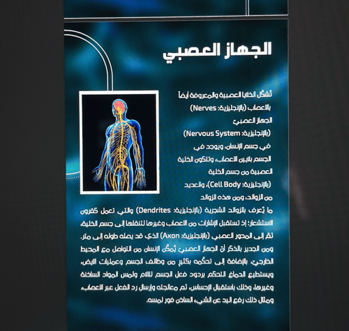 الجهاز العصبي \ 7