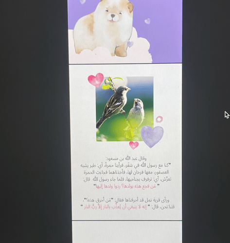 الرفق بالحيوان - 11 ص