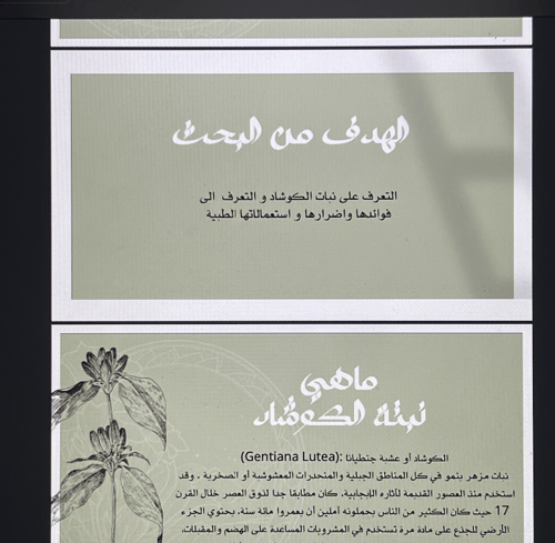 نبتة الكوشاد \ 17 ص