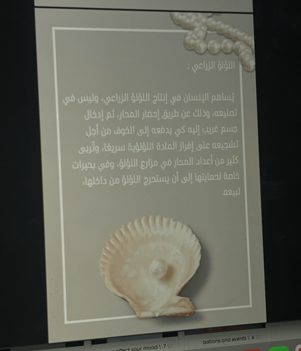 الفرق بين اللؤلؤ \ 5