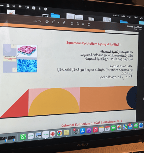 الانسجة Tissues \ 13 ص