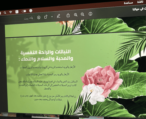 اهمية النباتات في حياتنا \ 11 ص