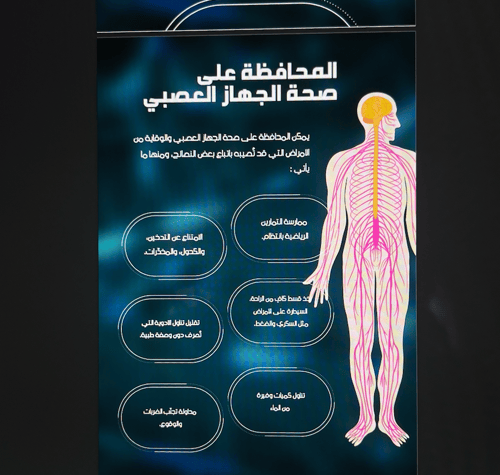 الجهاز العصبي \ 7