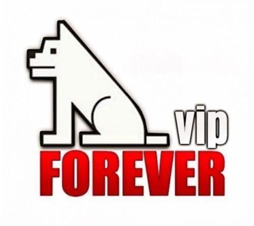 اشتراك فوريفر VIP لمدة 12 شهر | تفعيل Forever VIP