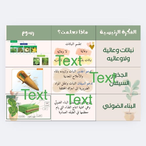 علوم النباتات خامس بنت وولد نموذجين