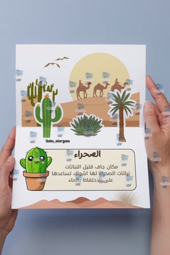 علوم اول ابتدائي تعيش النباتات تصميم عادي