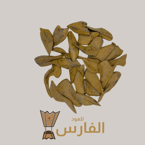 هندي نجلاند محسن