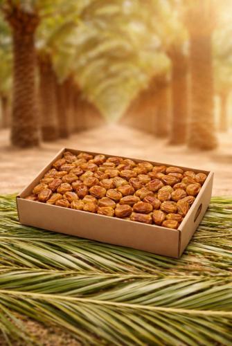 Premium Saggai Dates