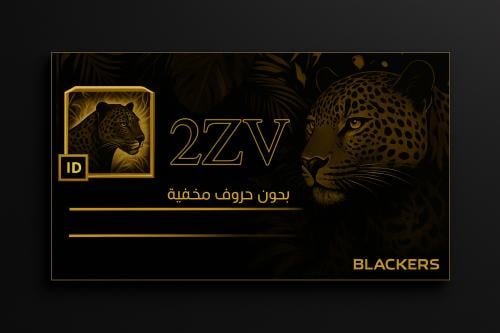 اسم (2ZV) بدون أحرف مخفيه