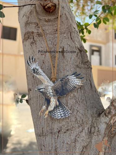 تعليقة مرايا سيارة - شنطة