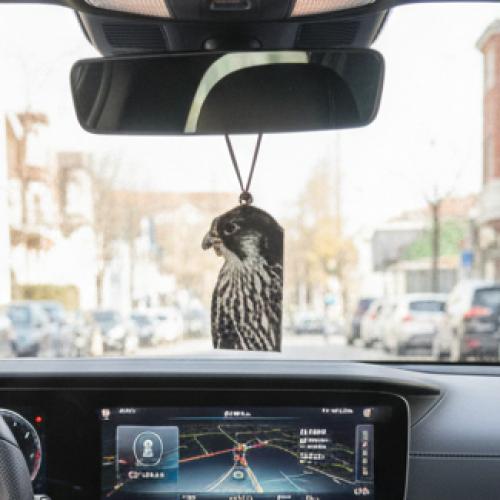 تعليقة مرايا سيارة - شنطة