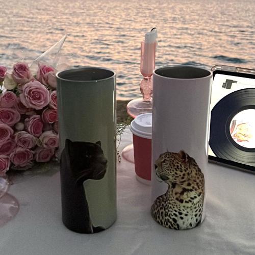 مق حافظ تايقر