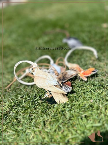 تعليقة مرايا سيارة - شنطة