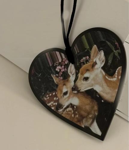 تعليقة مرايا سيارة - شنطة