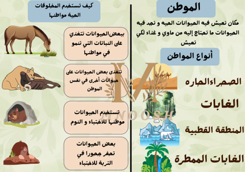 أنواع المواطن ثاني ابتدائي