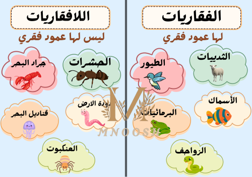 مجموعة الحيوانات ثاني ابتدائي