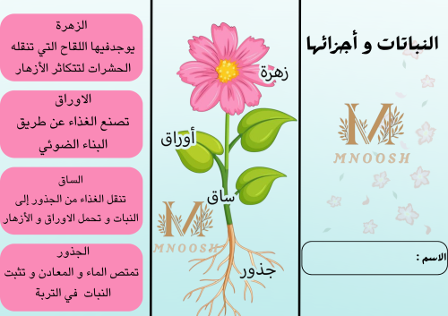 النباتات و أجزائها