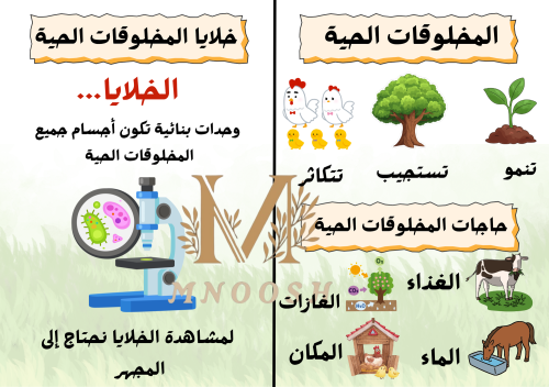 المخلوقات الحية و حاجاتها ثالث ابتدائي