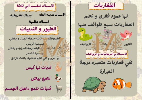 الحيوانات الفقارية