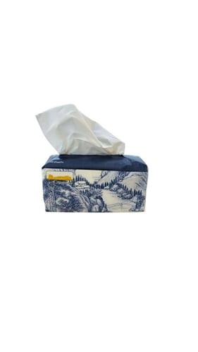 مجموعة مناديل قمة طويق العائلية 600 منديل مفرد 4 ط...