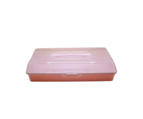 حافظة طعام بلاستيك كبير بيج