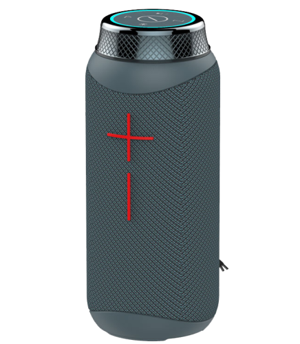 مكبر صوت Pi 19