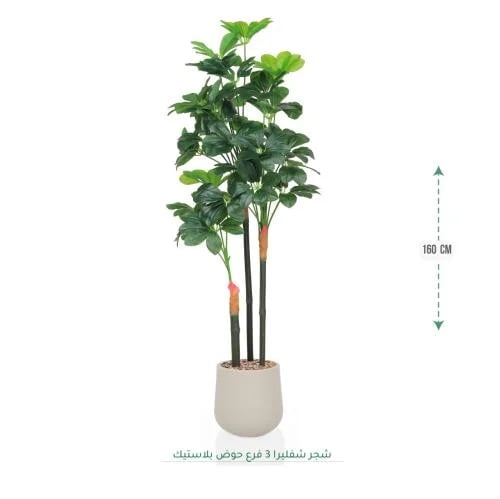 شجرة شفليرا صناعية 3 فروع مع حوض بلاستيكي 160 سم