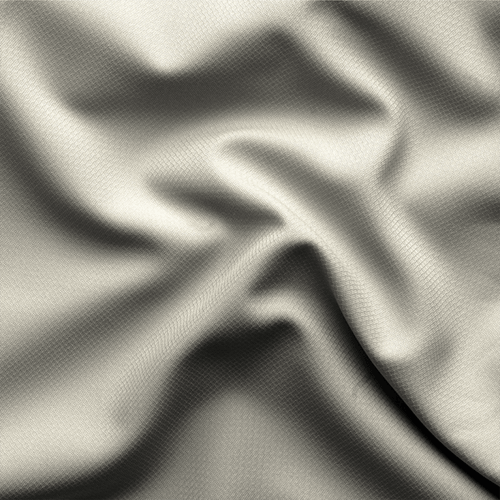 اوركيد - شتوي