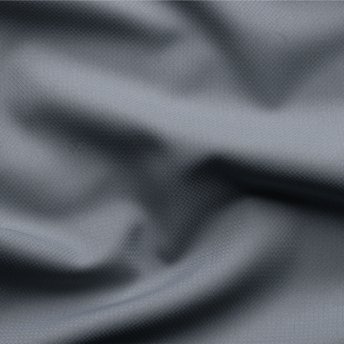 اوركيد - شتوي