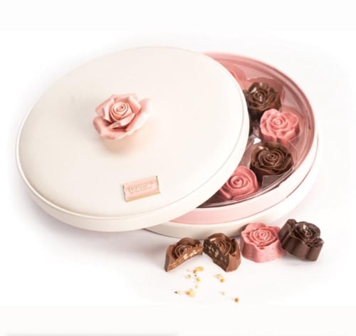 ورد وبستاني ١٣