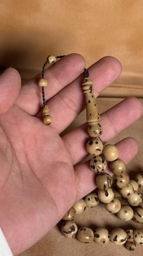 ثمره الصليبه