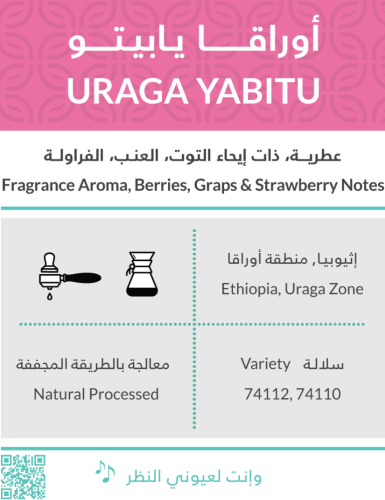 Kaffa | Yabito papers