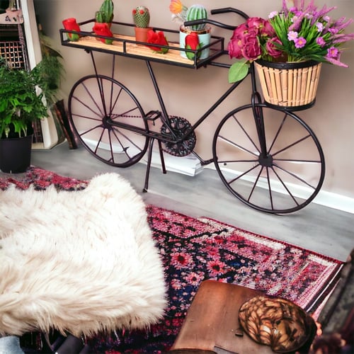 ديكور دراجة خوسيه حامل للنبات