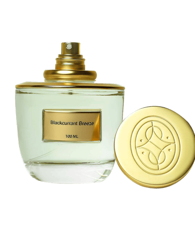 عطر بلاك كرنت بريز