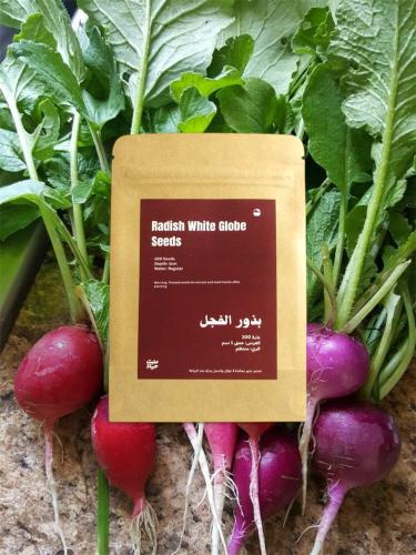 بذور فجل وايت جلوب | White Globe Radish Seeds