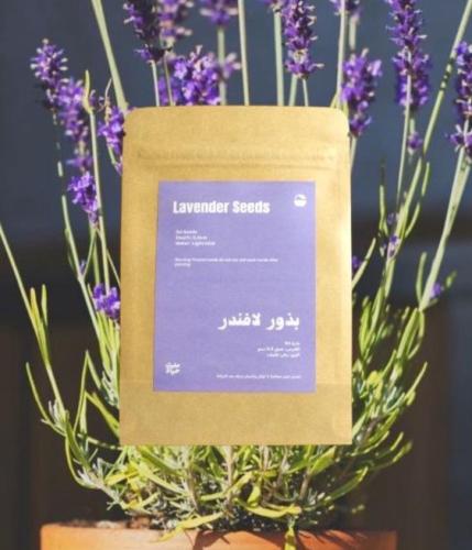 بذور لافندر | Lavender Seeds