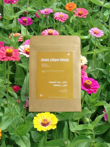 بذور زينيا ليليبوت | Zinnia Liliput Mixed Seeds